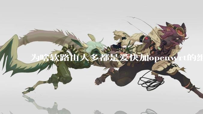 为啥软路由大多都是爱快加openwrt的组合，单openwrt有什么缺点嘛？