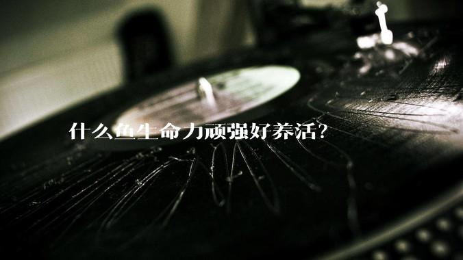 什么鱼生命力顽强好养活？